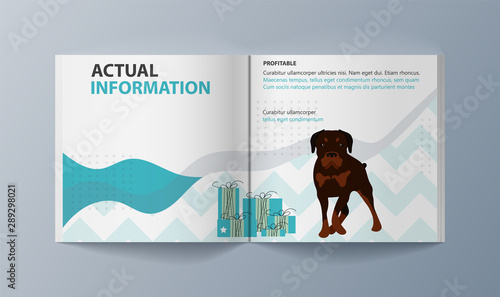 Set of brochures kit for pet purchase advertising