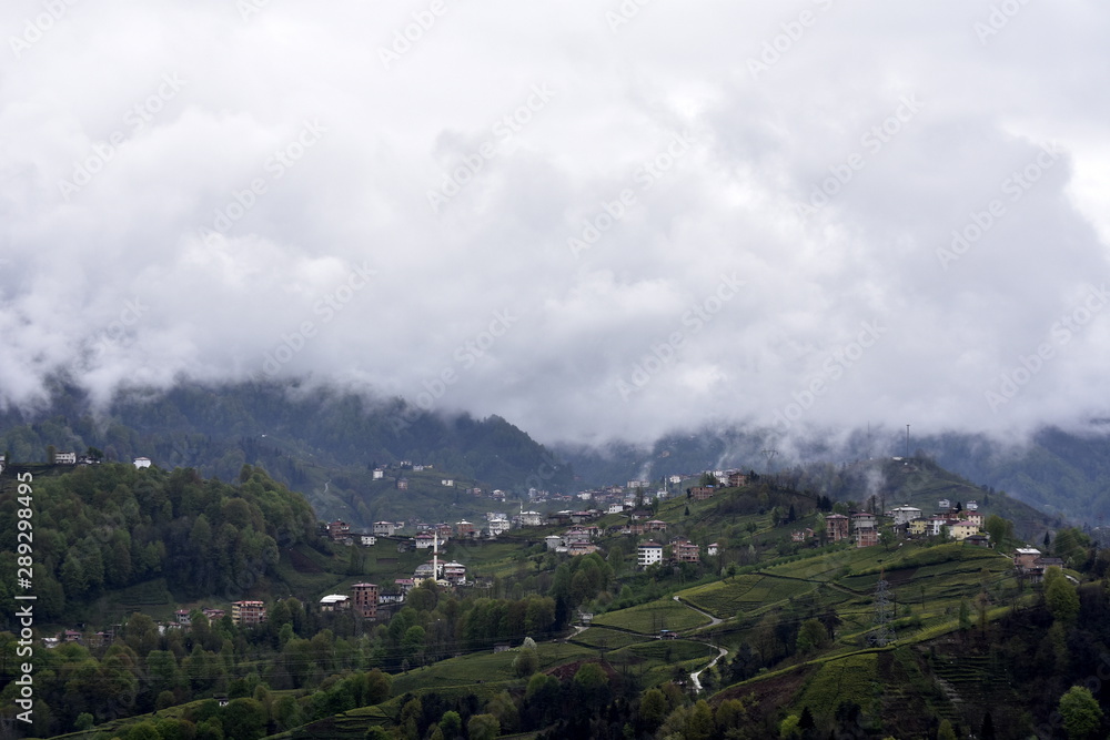 Naklejka premium panorama of the city