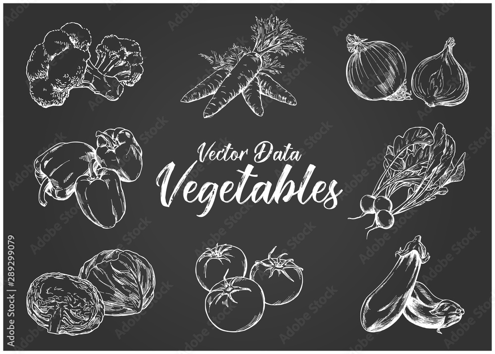 Hand-drawn illustration material: vegetable set, pen drawing, chalk art