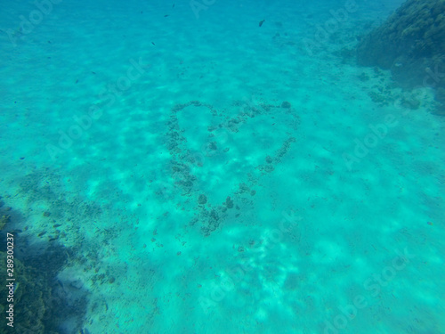 Snorkeling in French Polynesia