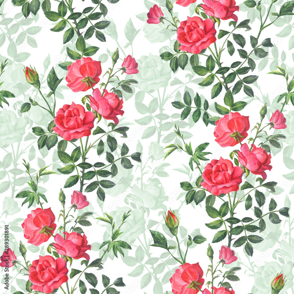 Beautiful bright pattern from a branch of a red rose with buds and green leaves on a white background. Beautiful bright pattern from a branch of a red rose with buds and green leaves on a white background.