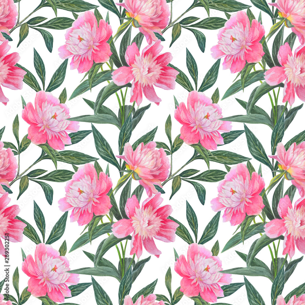 Seamless pattern with beautiful pink peonies isolated on white.