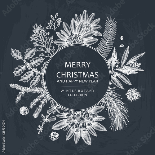 Christmas greeting card or invitation design. Vector frame with hand drawn evergreen and conifers plants. Vintage background with botanical elements. Engraved style. On chalkboard