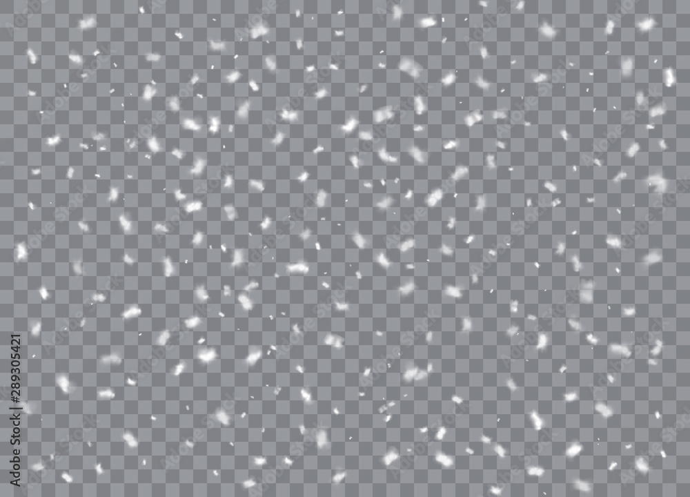 Snowflakes, snow background. Christmas snow for the new year. Vector illustration.
