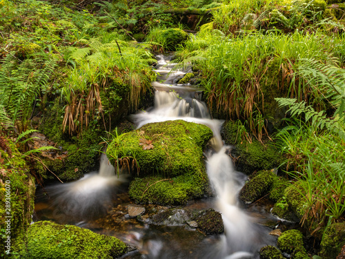 Fototapeta Naklejka Na Ścianę i Meble -  long exposure small stream in Wales with lush green foliage