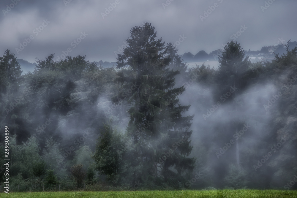 Nebel im Tal nach dem Regen