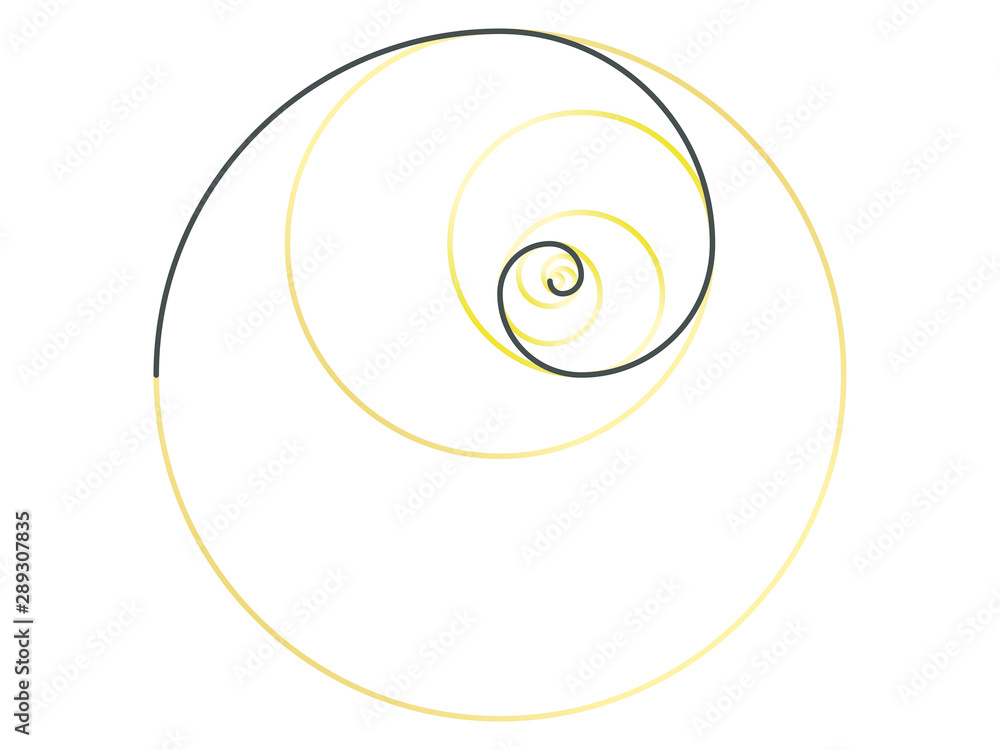黄金螺旋 黄金螺旋
