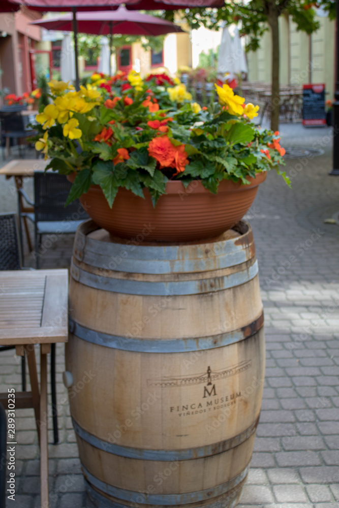 Decorated landscape gardens and patios with wooden barrels and blooming flowers.