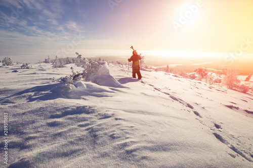 Skier skiing downhill during sunny day in mountains and forest. Extreme winter sports