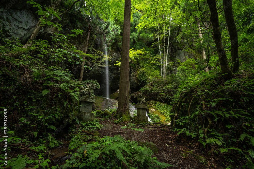 Fototapeta premium 兵庫県 吉滝の自然と風景