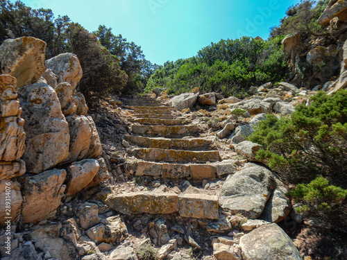 A ladder in the cove