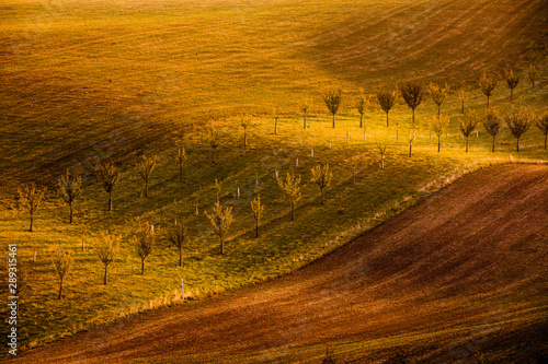 Wavy brown landscape in Moravian Tuscany