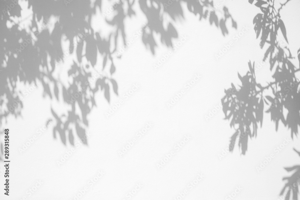 Overlay effect for photo. Gray shadow of the leaves on a white wall. Abstract neutral nature concept blurred background. Space for text.
