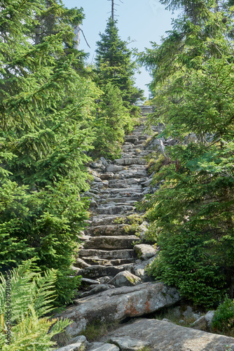 Nationalpark Bayrische Wald von Waldh  user bis Neusch  nau und rund um den Berg Lusen 1373m