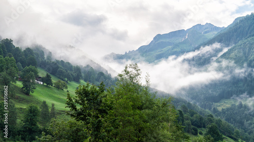 Alpine valley with green grass and mountains in the fog, Austrian