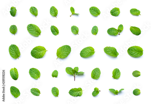 Set of fresh mint leaf top view isolated on white background.
