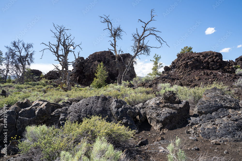 Lava rock and desert sagebrush along the Devils Orchard trail in Craters of the Moon National Monument