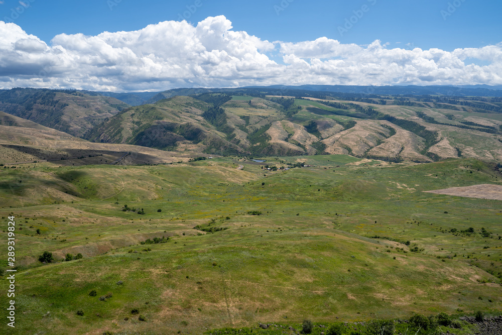 View of the White Bird Grade valley in Idaho in summer