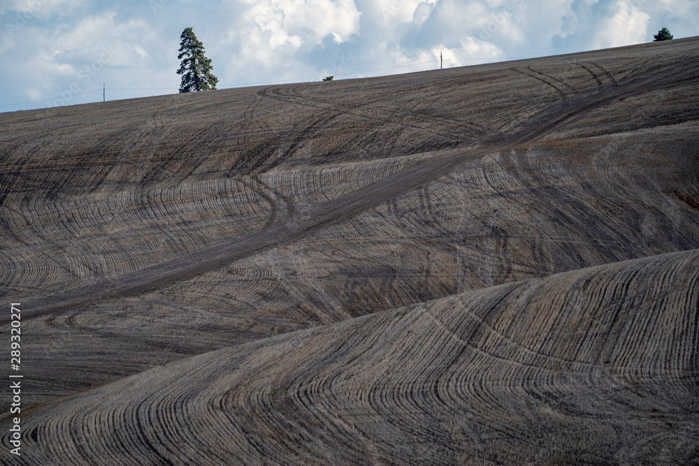 Φωτογραφία Plowed field in the Palouse of Washington State, with lines from the harvest in