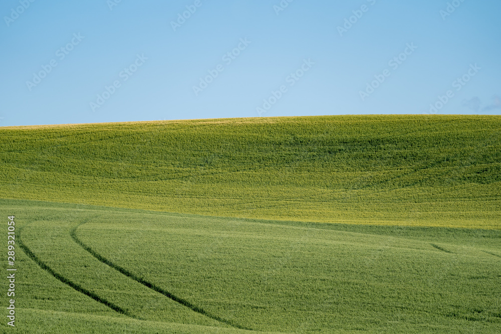 Plowed field in the Palouse of Washington State, with lines from the harvest in the field Plowed field in the Palouse of Washington State, with lines from the harvest in the field