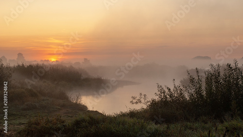 Poranek w Dolinie Narwi, Podlasie, Polska