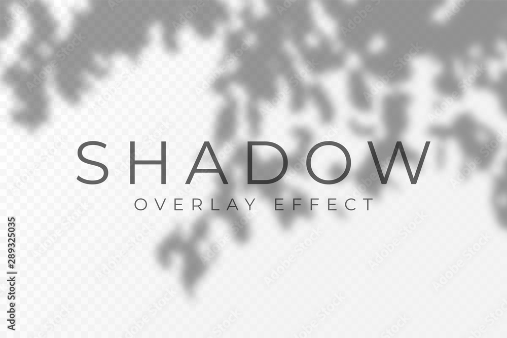 Shadow overlay effect. Transparent soft light and shadows from plant branches, leaves and foliage. Mockup of transparent shadow overlay effect and natural lightning Shadow overlay effect. Transparent soft light and shadows from plant branches, leaves and foliage. Mockup of transparent shadow overlay effect and natural lightning