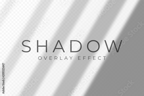 Shadow overlay effect. Transparent soft light and shadows from windows and jalouse. Mockup of transparent shadow overlay effect and natural lightning