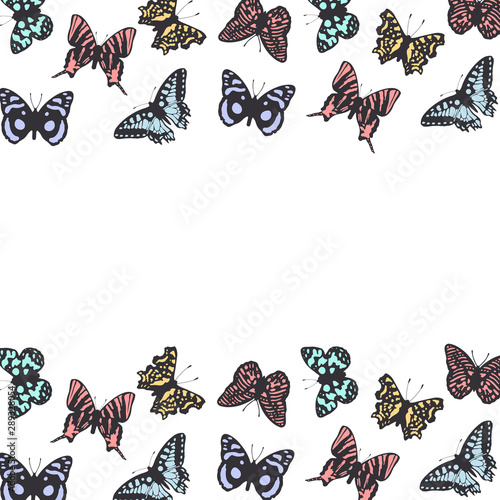 Exotic colorful butterflies border. Gorgeous monarch decoration. Vector isolated illustration.