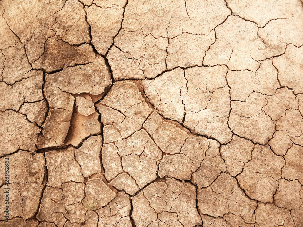 The ground has cracks in the top view for the background