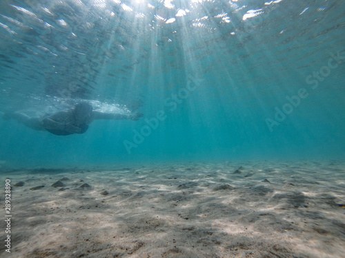 Diving woman and underwater background. 