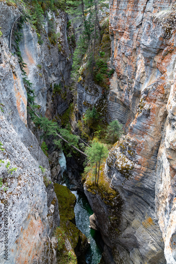 Fototapeta premium Maligne Canyon