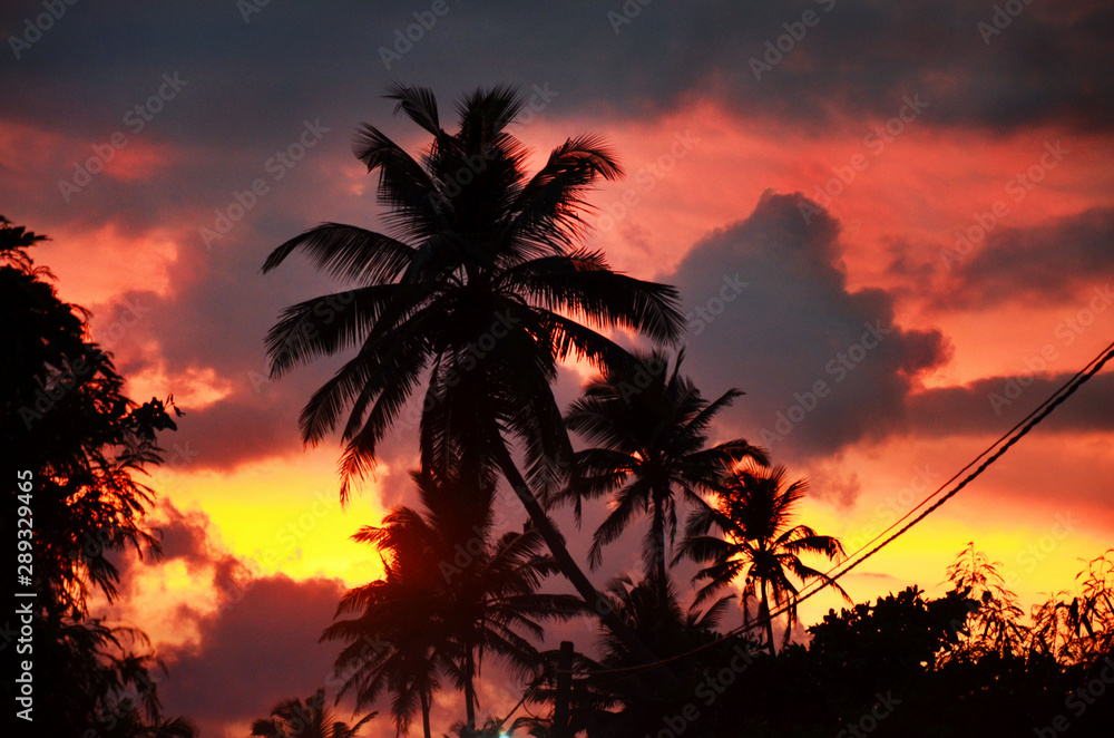 Obraz premium Beautiful sunset in Sri-Lanka