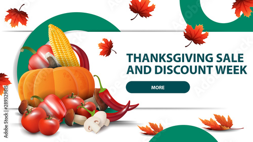 Thanksgiving sale and discount week, white horizontal discount web banner with creative circle design and autumn harvest