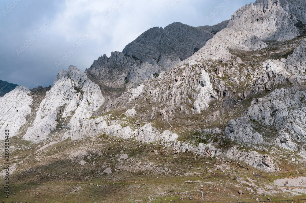 montaña, Leon, España, Cantabria, osos, fauna, frio, nieve, puerto montaña, Leon, España, Cantabria, osos, fauna, frio, nieve, puerto