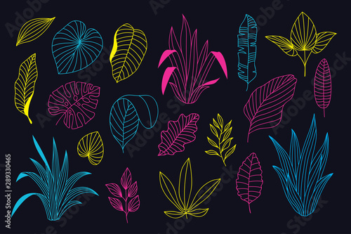 Beautiful neon hand drawn floral vector collection