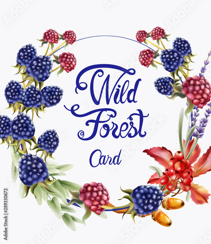 Wild forest fruits wreath bouquet card vector watercolor. Isolated background...