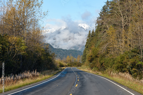 Road leading to Exit Glacier, Kenai Fjords National Park, Seward, Alaska, United States