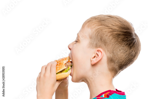 closeup portrait of a hungry boy with a hamburger on white background isolated