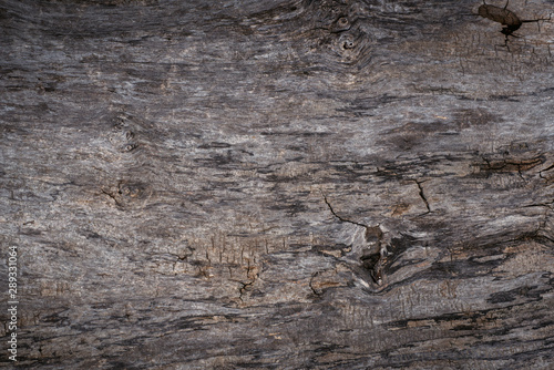 Natural untreated wood surface with vignetting effect