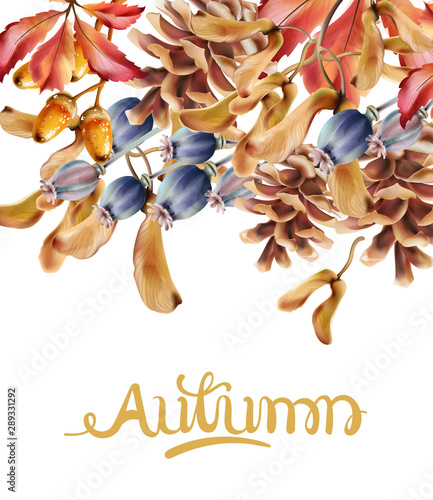 Autumn flowers bouquet card vector watercolor. Isolated background. Provence ...
