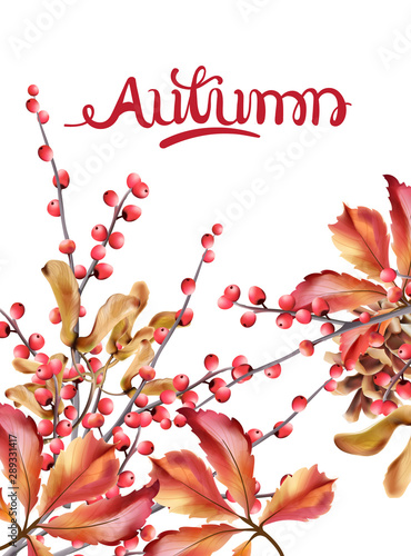 Autumn wild berries card vector watercolor. Isolated background. Provence flo...