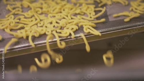 Slow motion of short raw pasta passing and jumping on a conveyor belt in a pasta factory.  photo