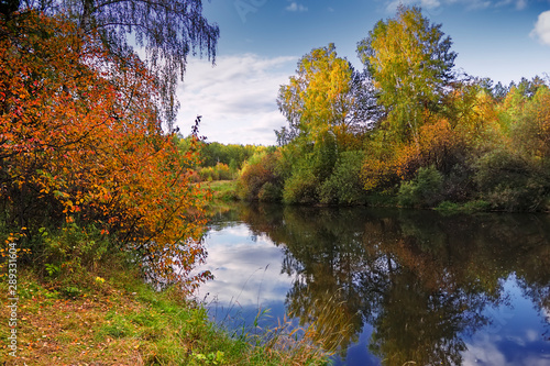 Autumn river with reflecting trees against the backdrop of forests and mountains. © Anatoliy