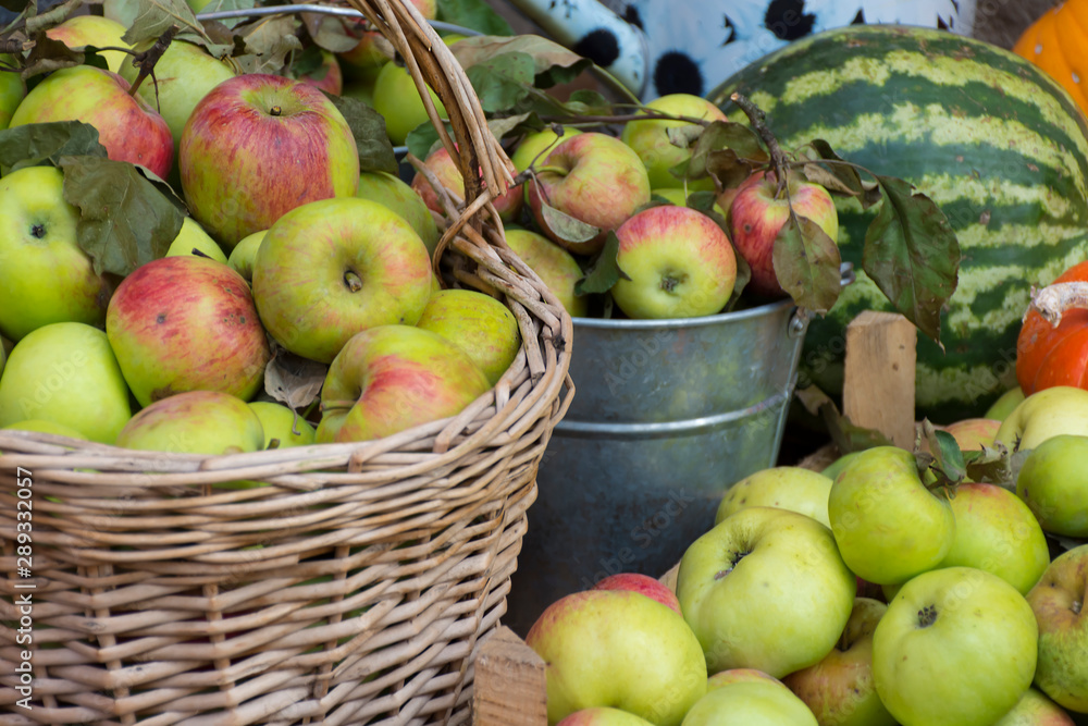 green and red apples in a wicker basket green and red apples in a wicker basket