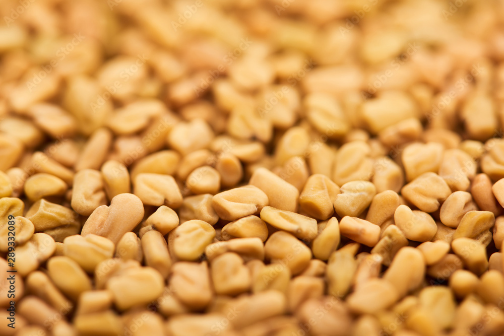 close up view of uncooked bulgur whole grains close up view of uncooked bulgur whole grains