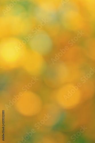 green, yellow, orange bokeh blurred background