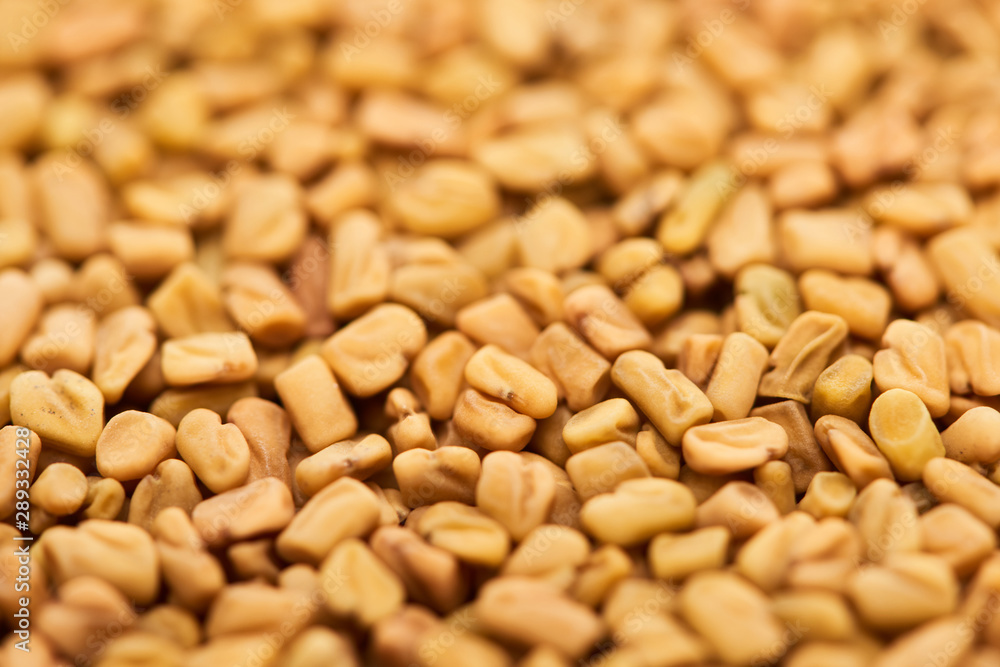 close up view of uncooked whole organic bulgur close up view of uncooked whole organic bulgur