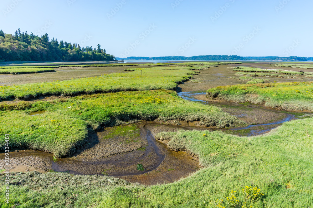 Nisqually Wetlands Grass Mounds 3
