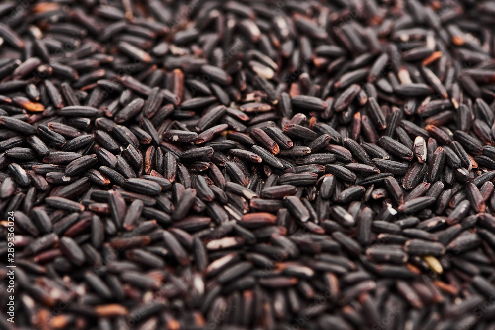 close up view of raw organic black rice