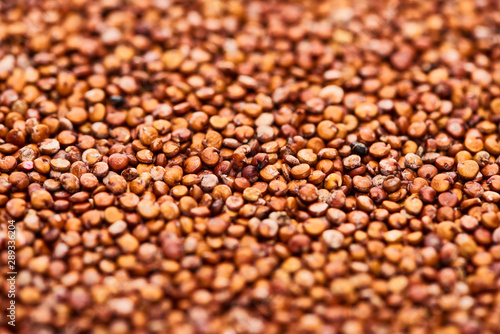 close up view of uncooked organic red quinoa seeds
